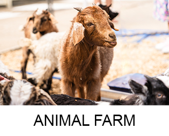 Animal Farm icon