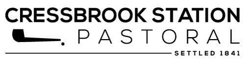 Cressbrook-Station-Pastoral