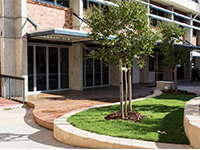 gardens