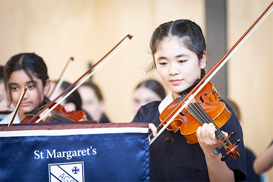 Amati Strings 3