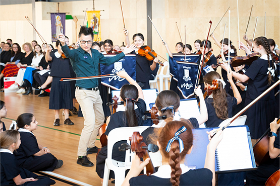 Amati Strings 4