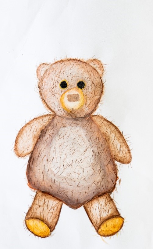 Primary student toy drawing of a teddy