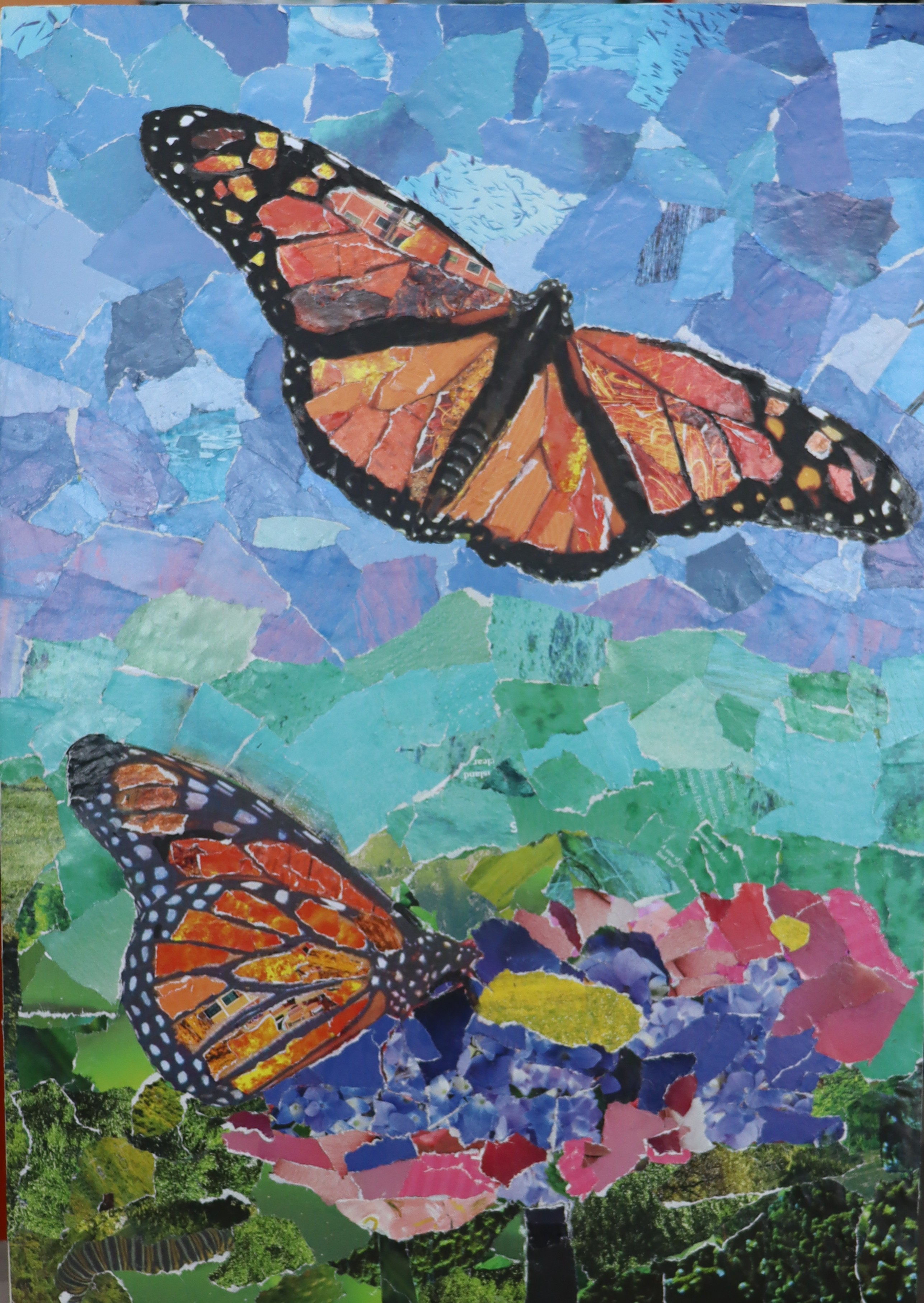MAYODArt Comp Winner
