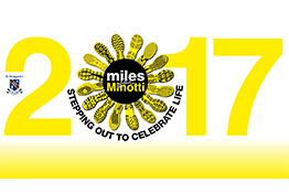 Miles for Minotti