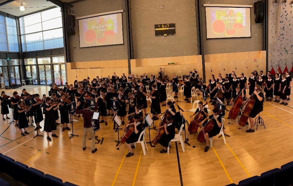 Music Viva La Music1