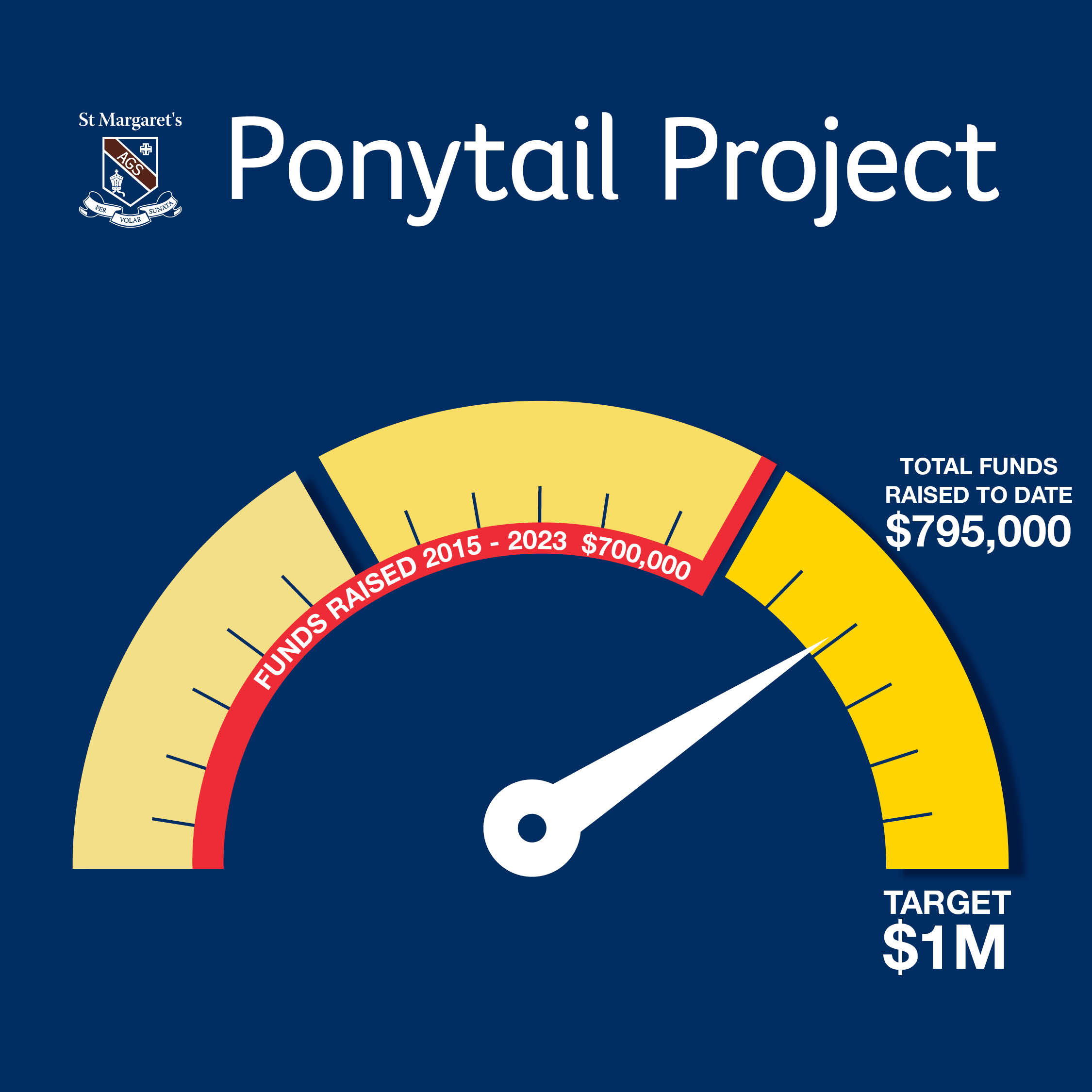 Ponytail Project Thermometer Graphic_$795000
