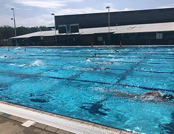 eNews Issue 1 2020 Swim Camp 2020