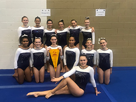 eNews Issue 10 2018 QGSSSA Artistic Gymnastics 1