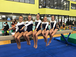 eNews Issue 10 2018 QGSSSA Artistic Gymnastics 2