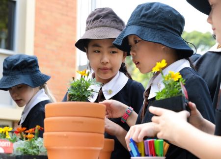 eNews Issue 18 2020 Buddy gardening Primary