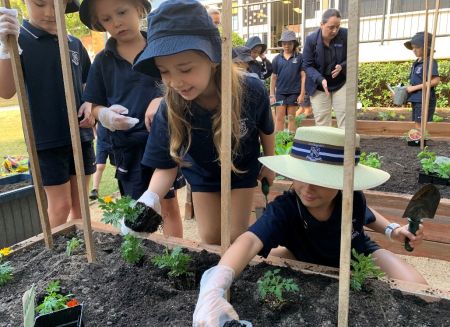 eNews Issue 18 2020 School gardening Primary