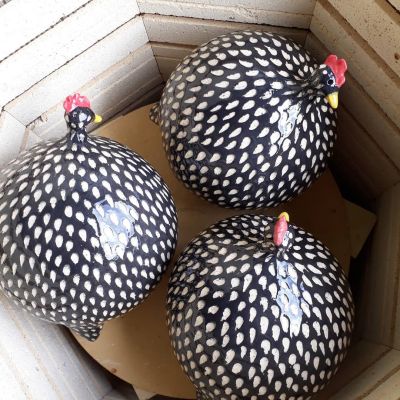 eNews Issue 24 2020 MAYO Chooks by Wendy Britton