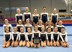 eNews Issue 33 2017 Andrews Cup Gymnastics