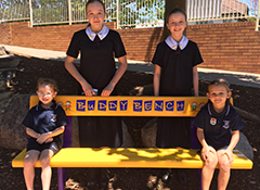 eNews Issue 33 2017 Buddy Bench